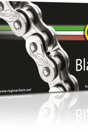 Origineel REGINA - 525 137 ZRA 118L - Chains - BLACK DUAL